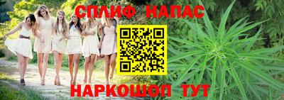прущие грибы Ирбит