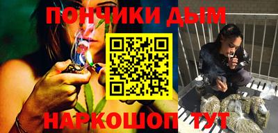 прущие грибы Ирбит