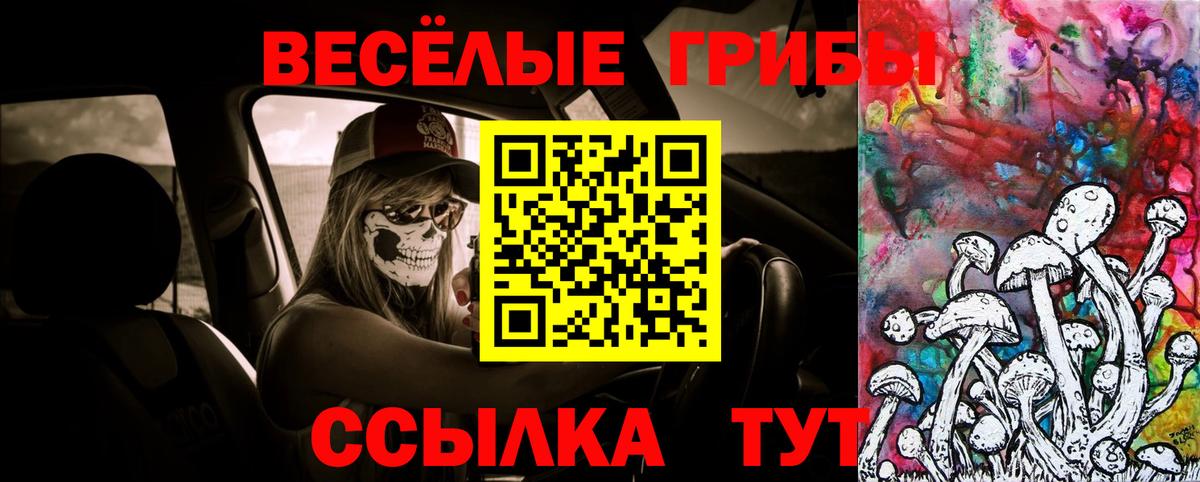 Галлюциногенные грибы Psilocybe  Псилоцибиновые грибы ЛСД  Коммунар  Вход с VPN 