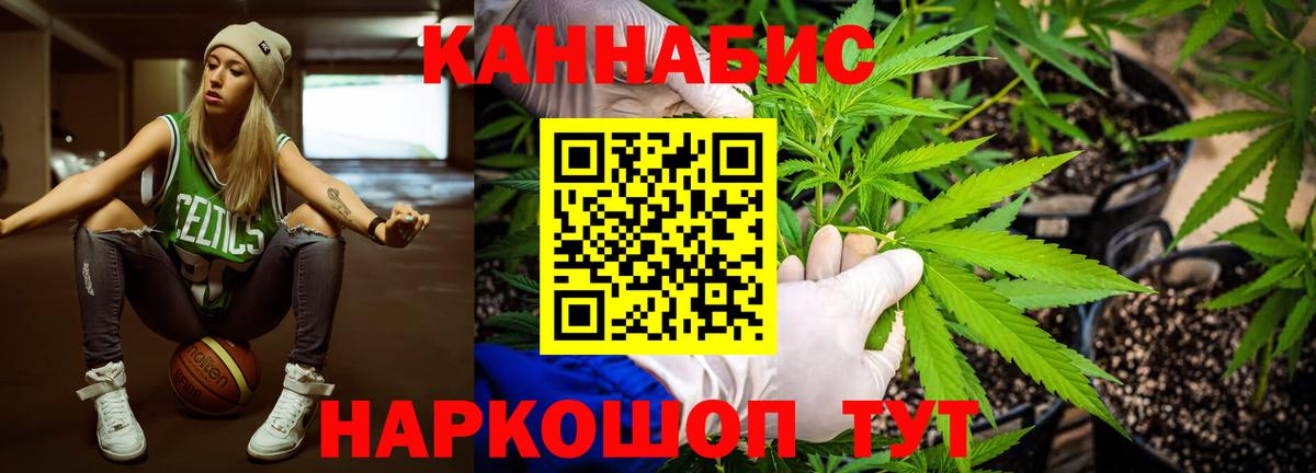 Бошки Шишки индика  Вход с VPN  Коммунар  Шишки марихуана OG Kush 